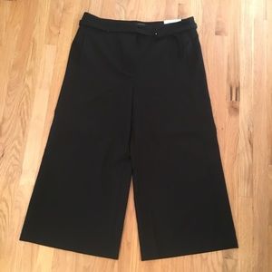 NWT Ann Taylor “the marina” black pants size 18